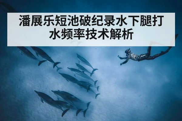 潘展乐短池破纪录水下腿打水频率技术解析