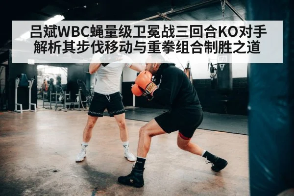 吕斌WBC蝇量级卫冕战三回合KO对手 解析其步伐移动与重拳组合制胜之道